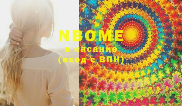 шишки Абаза