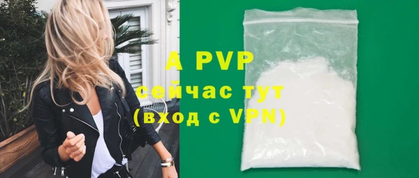 шишки Абаза