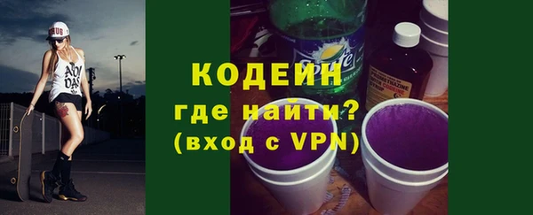 шишки Абаза