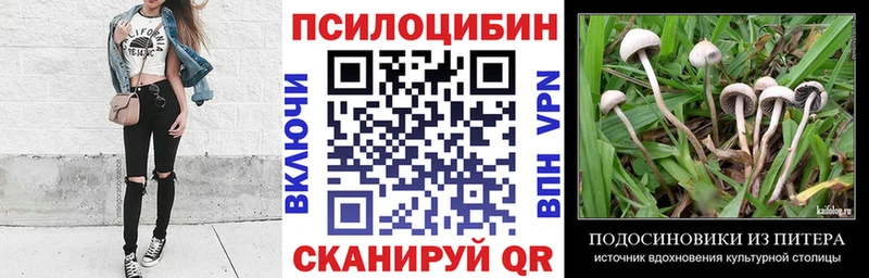 МЕГА ONION Адыгейск Псилоцибиновые грибы мухоморы купить цена